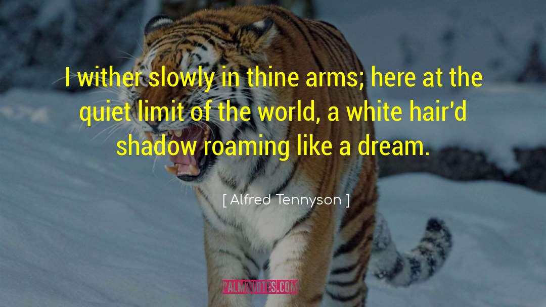 Dream Of Flying quotes by Alfred Tennyson