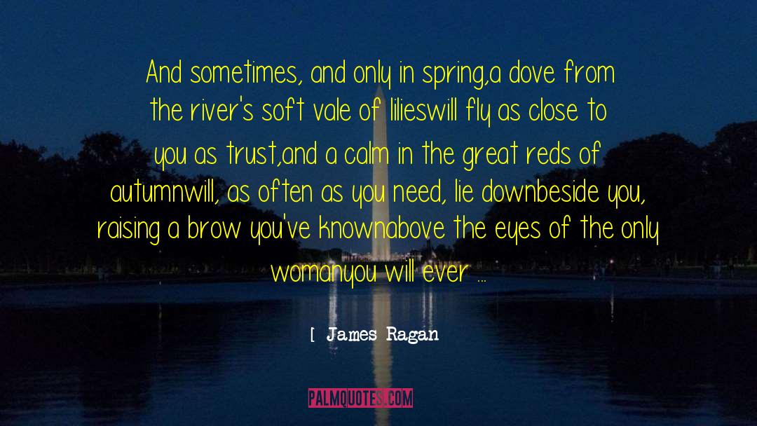 Dream Of Flying quotes by James Ragan