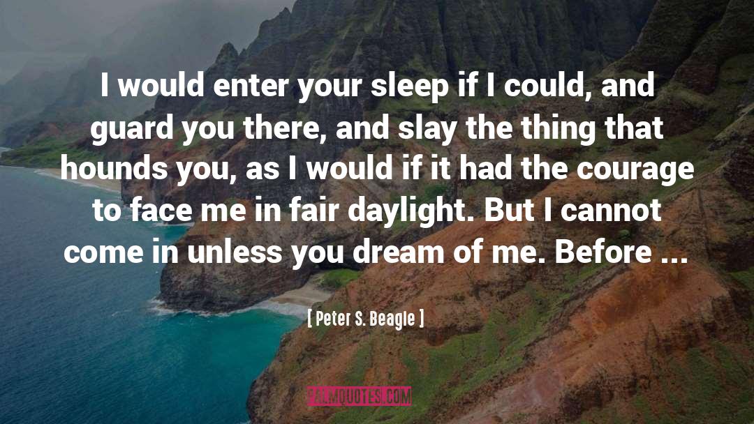 Dream Of Me quotes by Peter S. Beagle