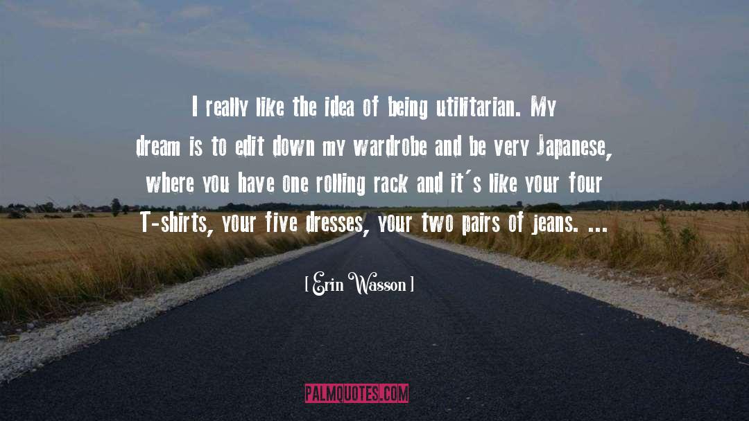 Dream quotes by Erin Wasson