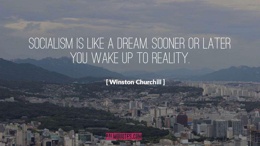 Dream Reality quotes by Winston Churchill