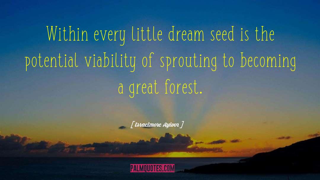 Dream Seeds quotes by Israelmore Ayivor