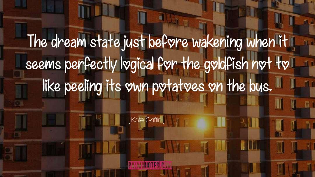 Dream State quotes by Kate Griffin