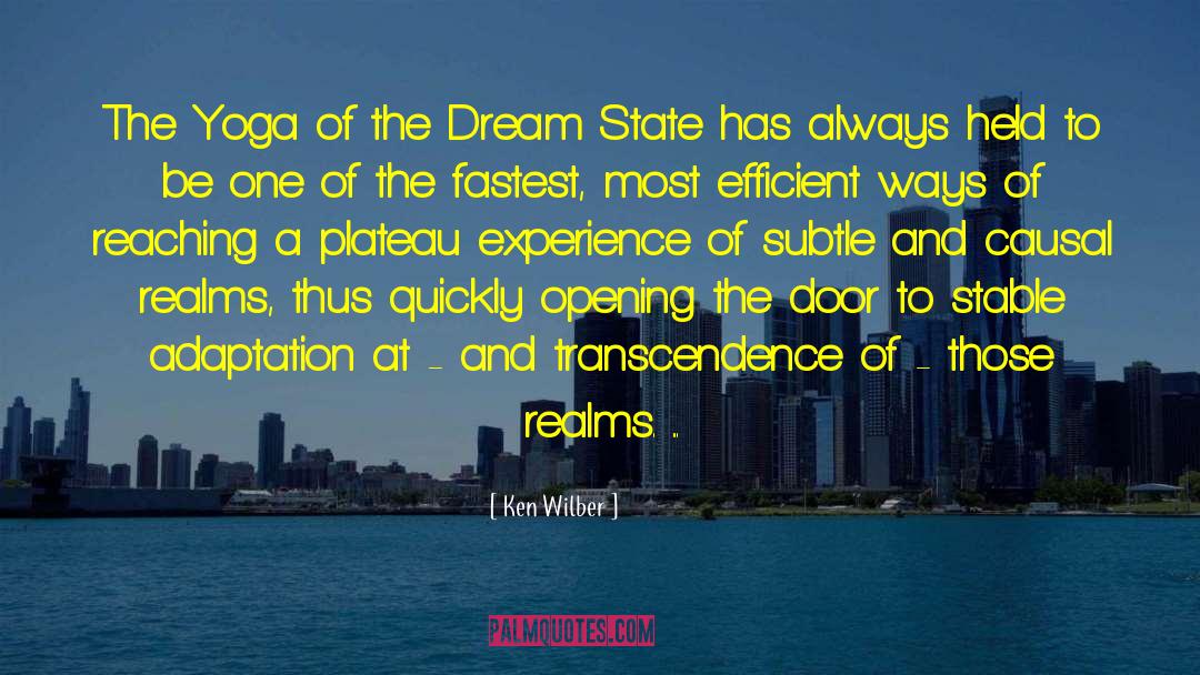 Dream State quotes by Ken Wilber