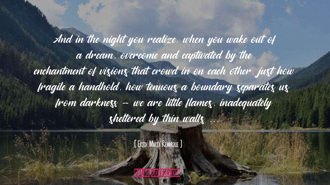Dream When You Are Awake quotes by Erich Maria Remarque