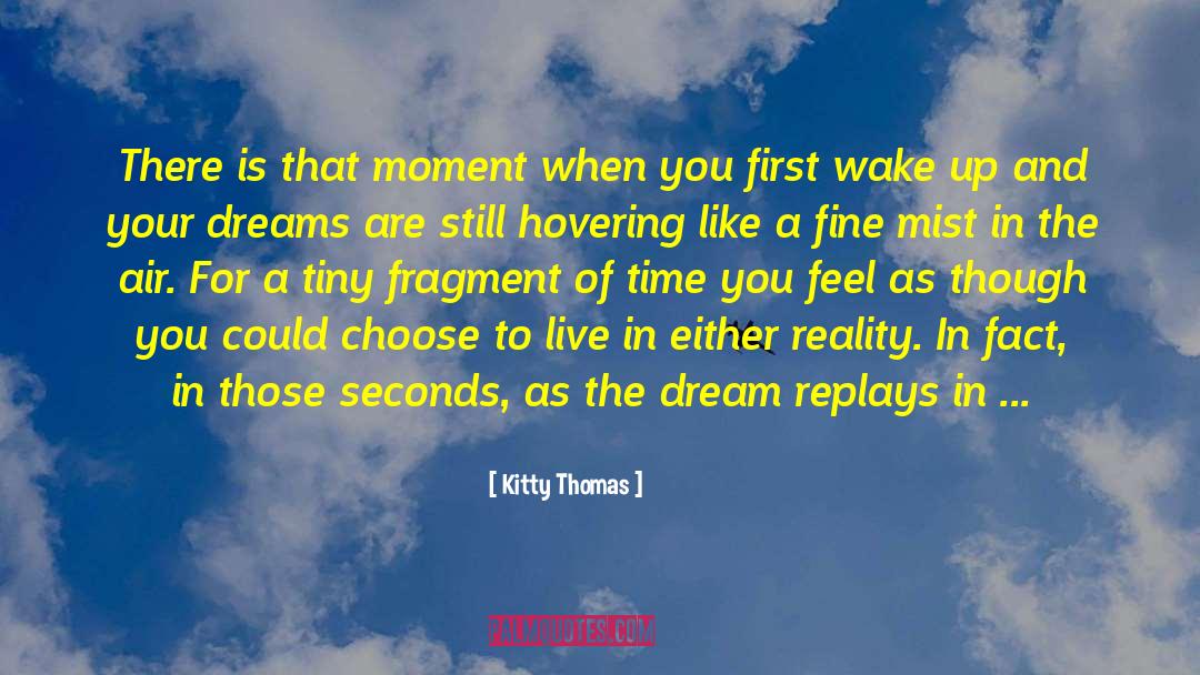 Dream When You Are Awake quotes by Kitty Thomas