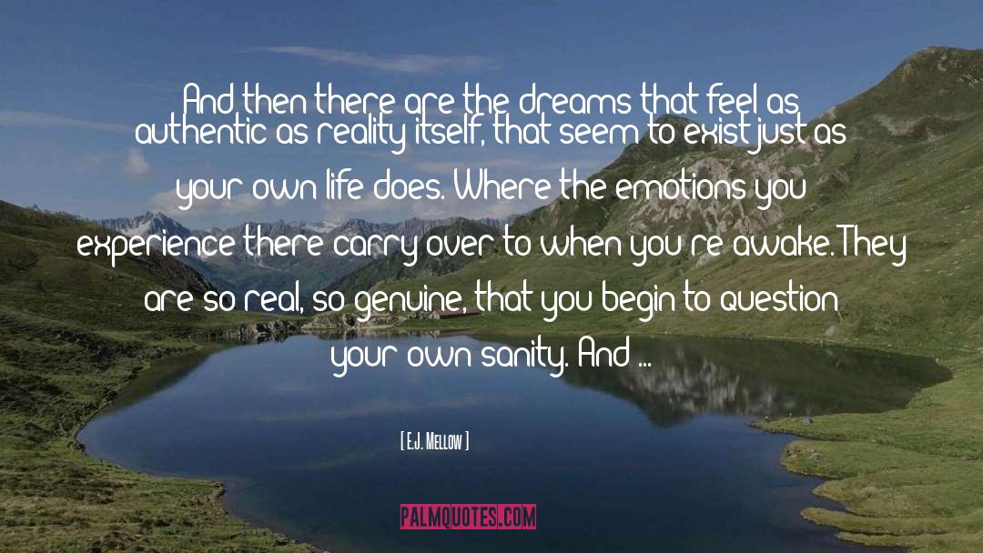 Dream When You Are Awake quotes by E.J. Mellow