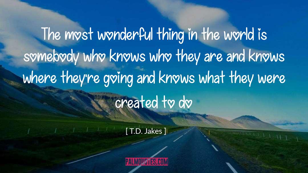 Dream World quotes by T.D. Jakes