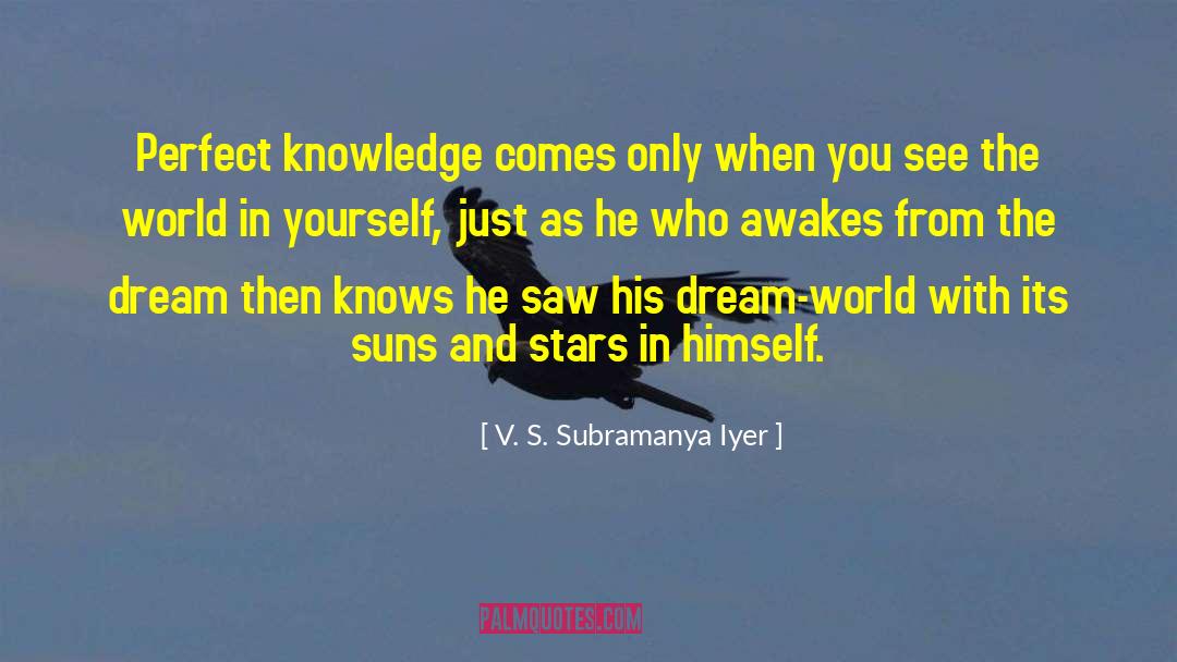 Dream World quotes by V. S. Subramanya Iyer