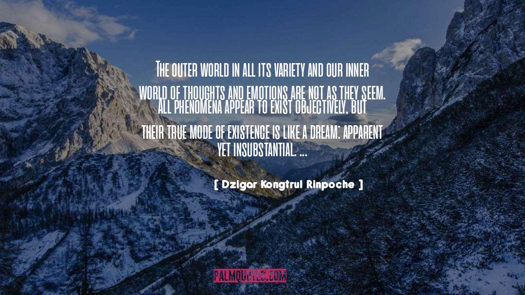 Dream World quotes by Dzigar Kongtrul Rinpoche