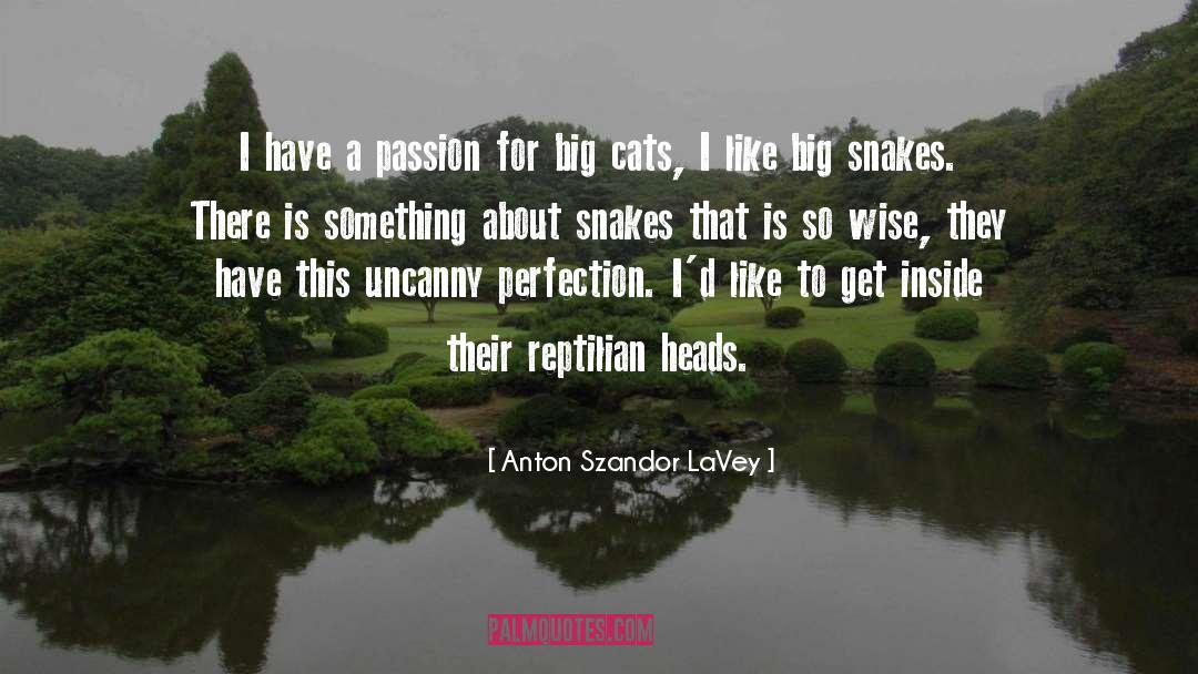 Dreamed About Snakes quotes by Anton Szandor LaVey