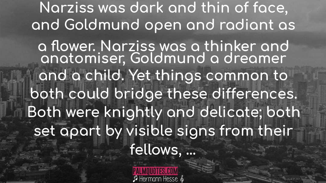 Dreamer quotes by Hermann Hesse
