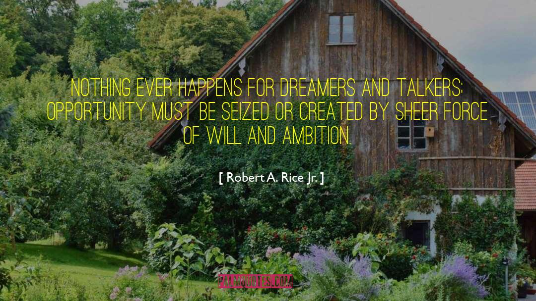 Dreamers Versus Reasoners quotes by Robert A. Rice Jr.