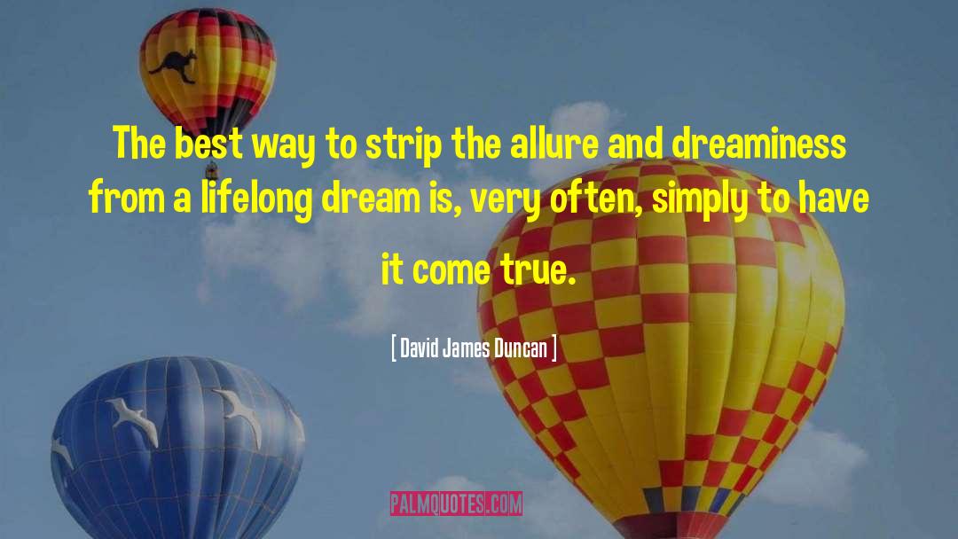 Dreaminess quotes by David James Duncan