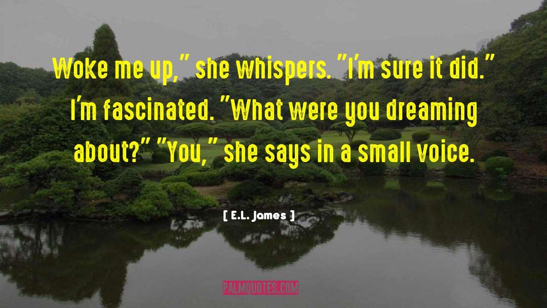 Dreaming About You quotes by E.L. James