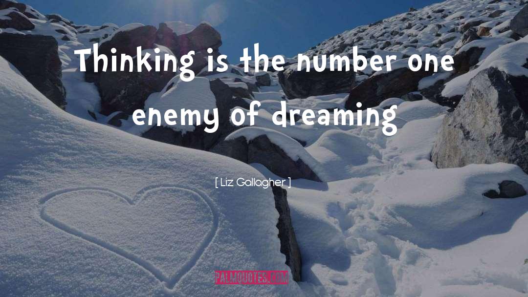 Dreaming quotes by Liz Gallagher