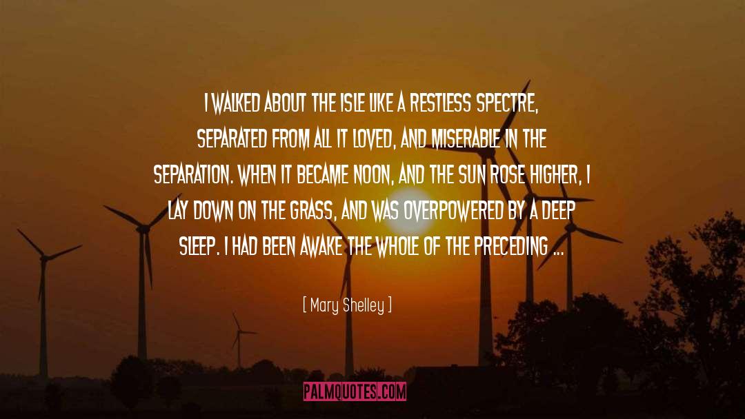 Dreamless Sleep quotes by Mary Shelley