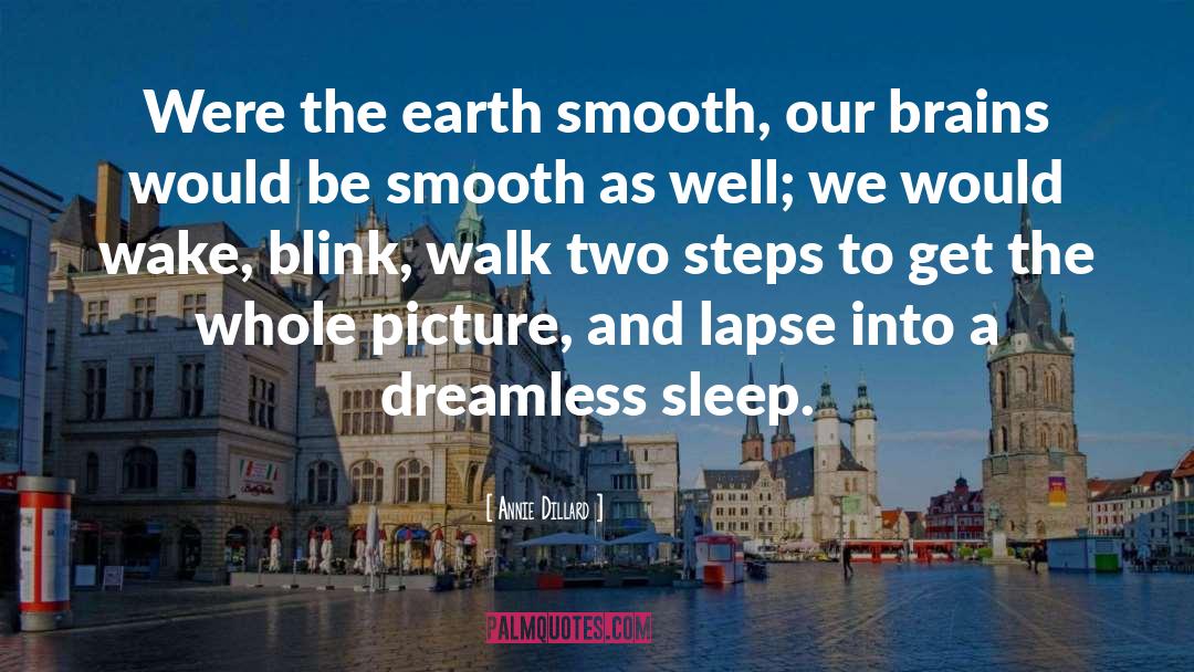 Dreamless Sleep quotes by Annie Dillard