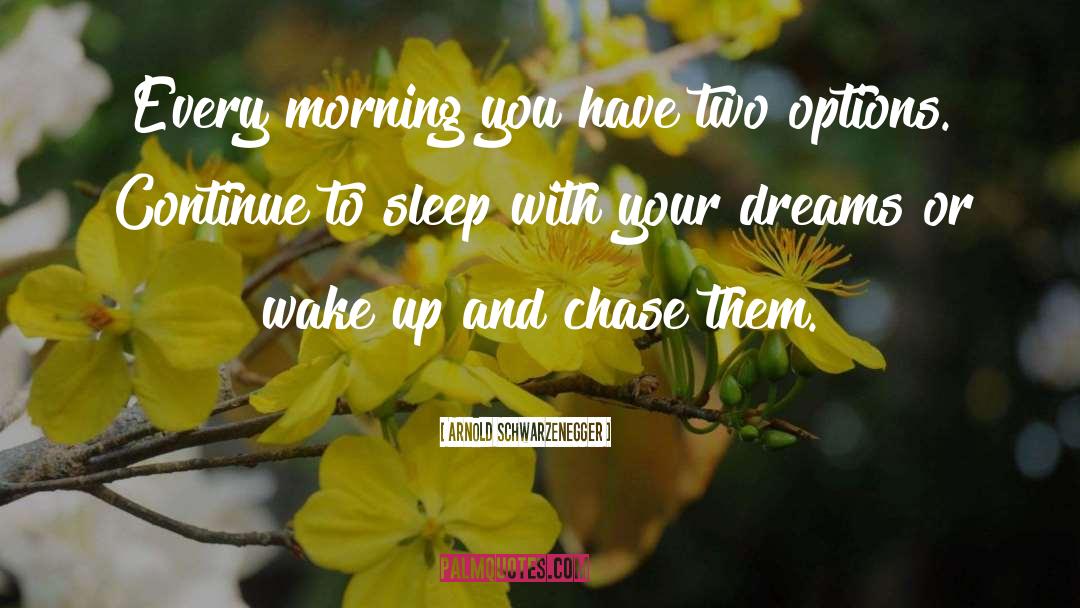 Dreamless Sleep quotes by Arnold Schwarzenegger