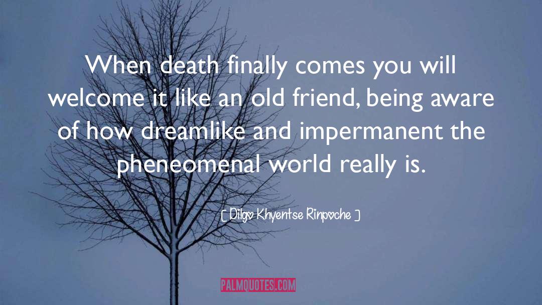 Dreamlike quotes by Dilgo Khyentse Rinpoche