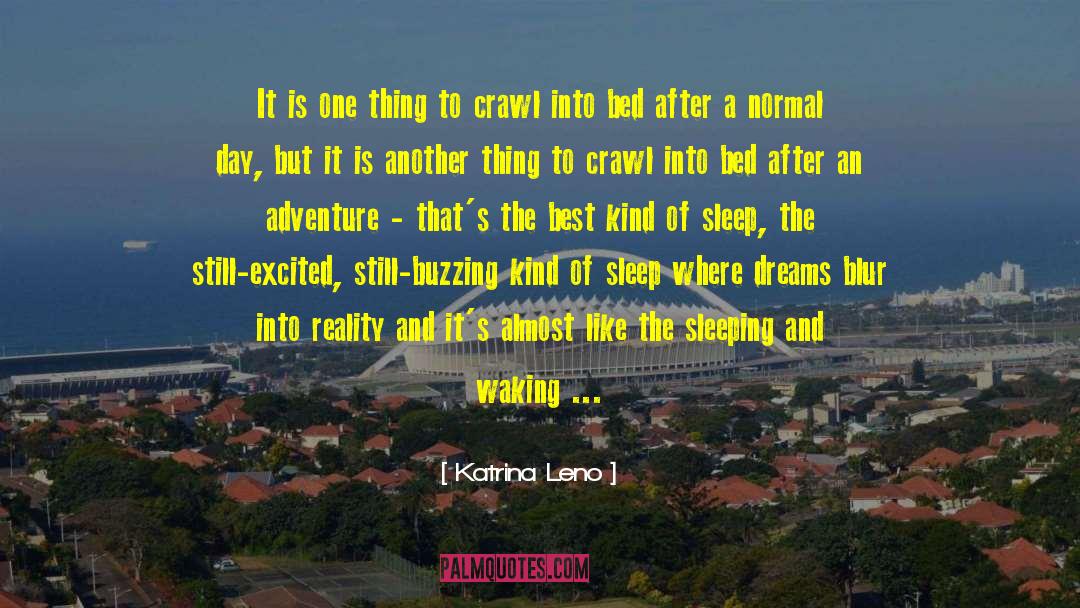 Dreams And Aspirations quotes by Katrina Leno