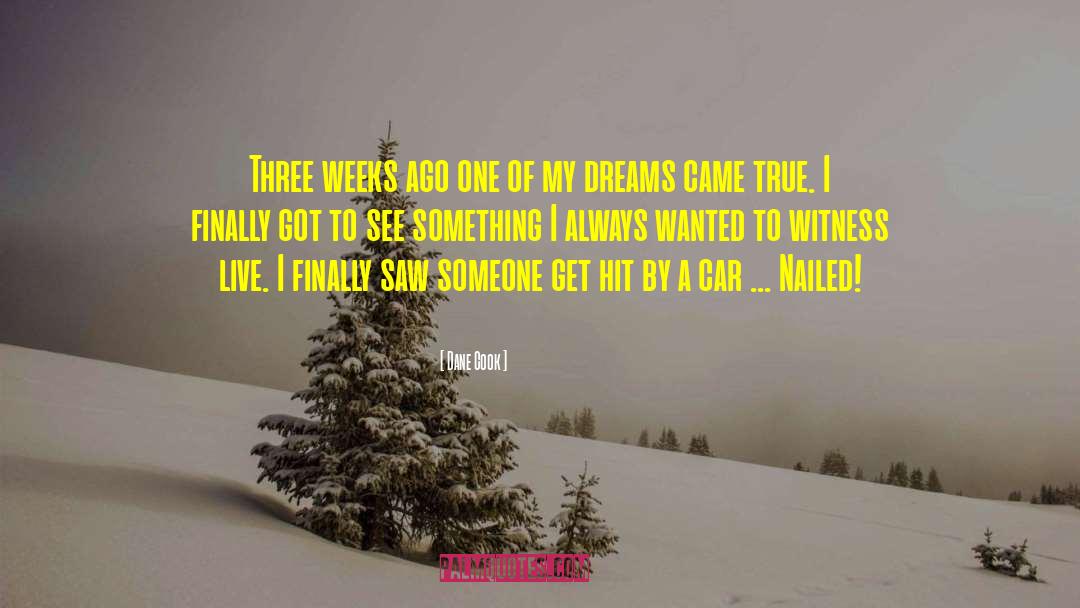 Dreams Came True quotes by Dane Cook