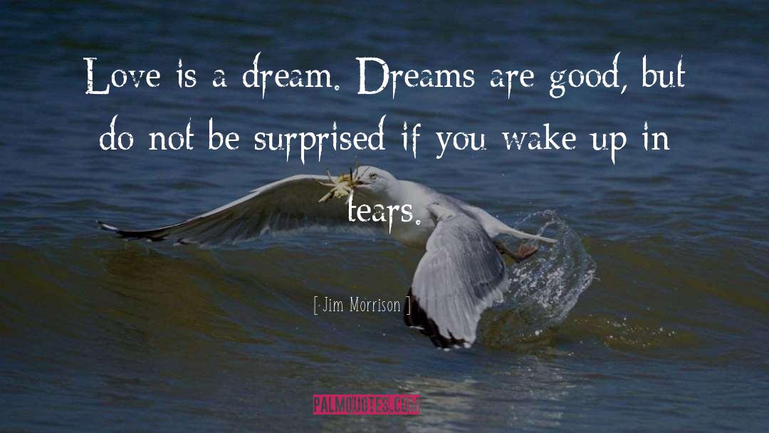 Dreams Love quotes by Jim Morrison