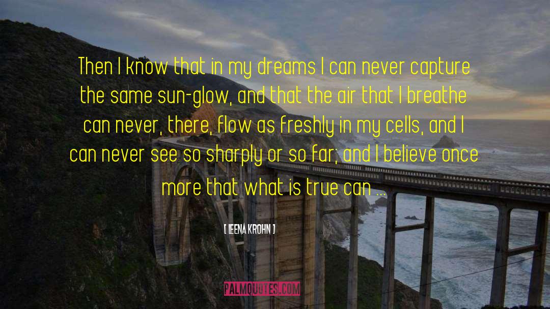 Dreams Truth quotes by Leena Krohn