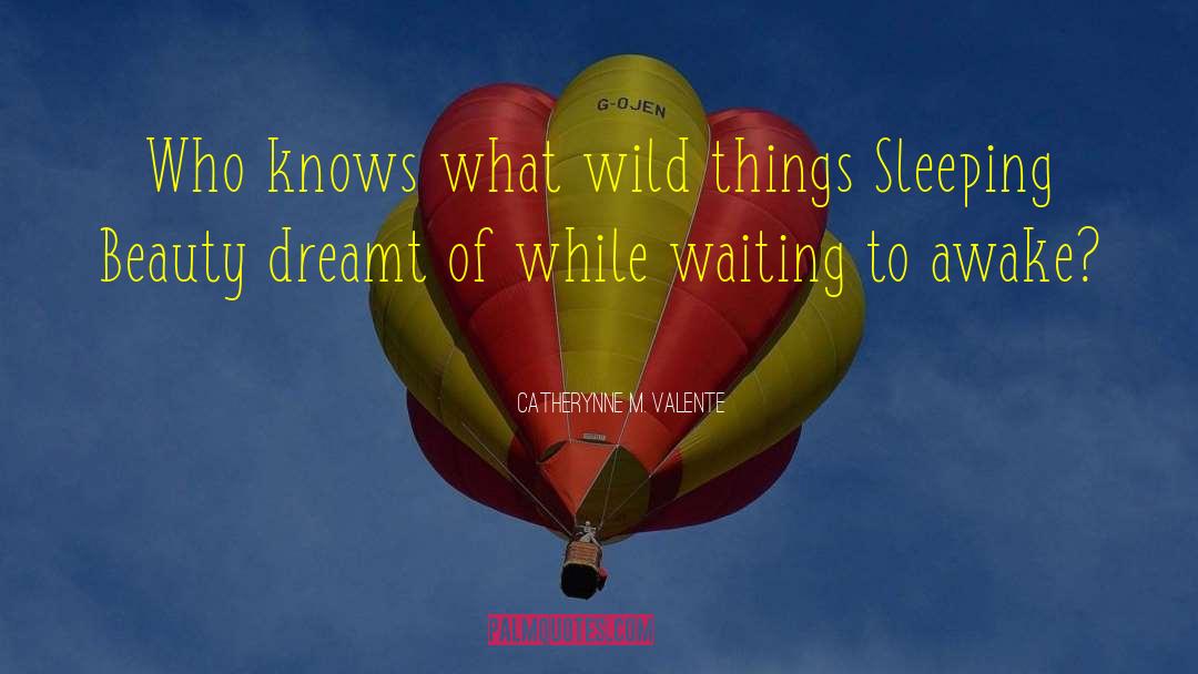 Dreamt quotes by Catherynne M. Valente