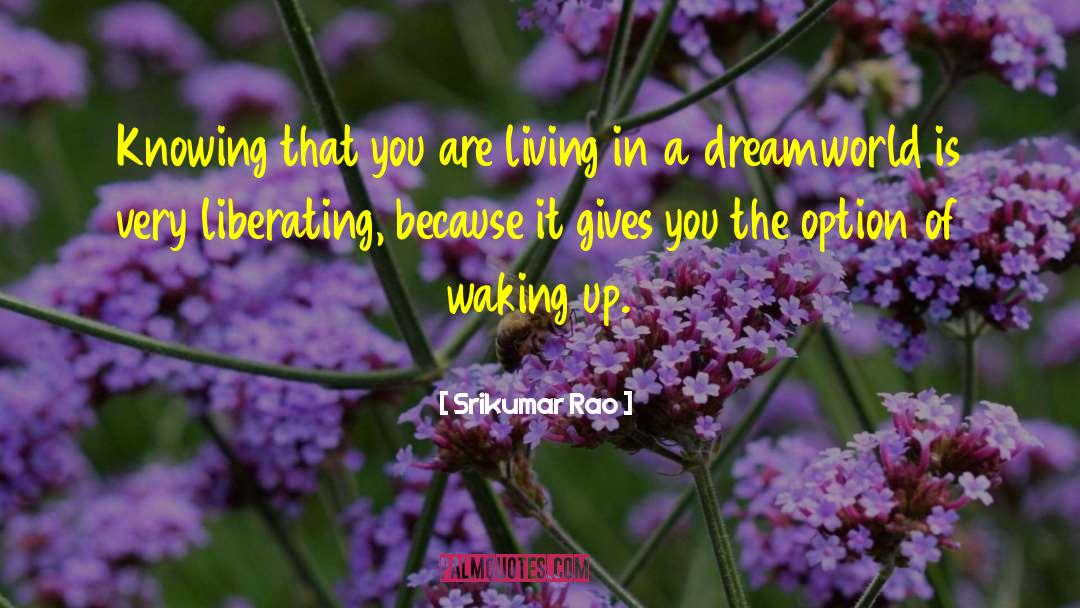 Dreamworld quotes by Srikumar Rao