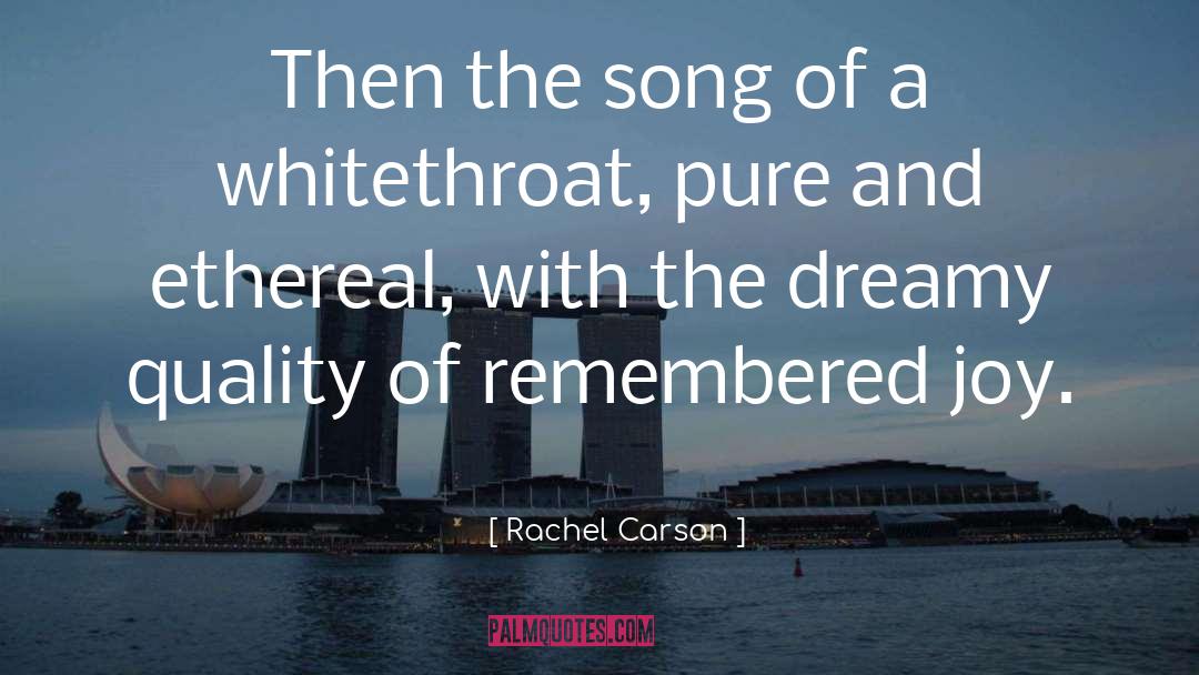 Dreamy quotes by Rachel Carson