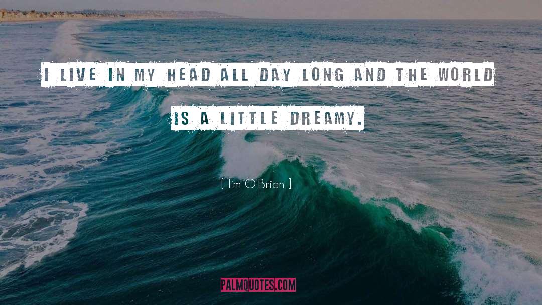 Dreamy quotes by Tim O'Brien