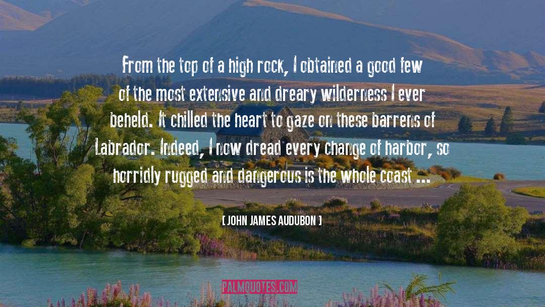 Dreary quotes by John James Audubon