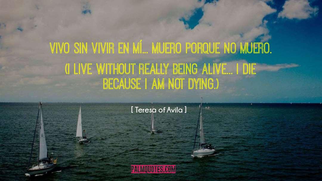 Drenaje En quotes by Teresa Of Avila