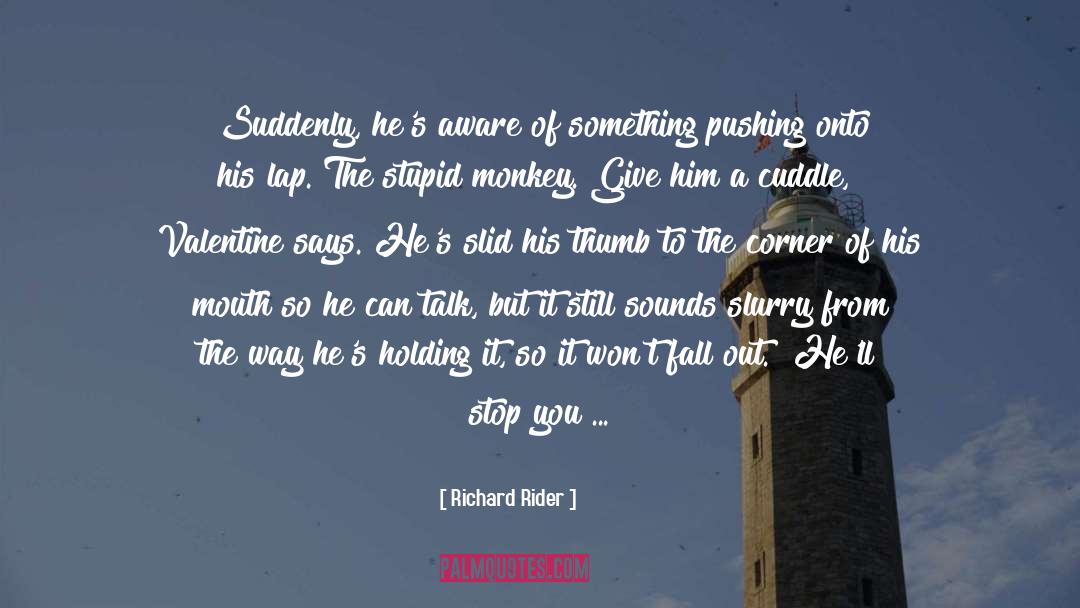 Drenched quotes by Richard Rider