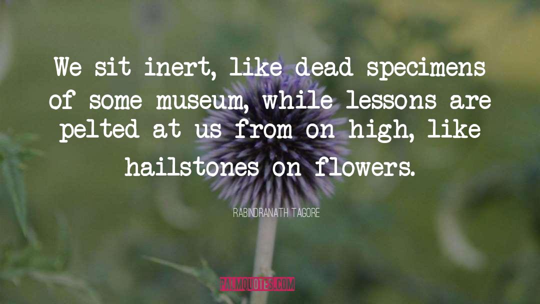 Dried Flower quotes by Rabindranath Tagore