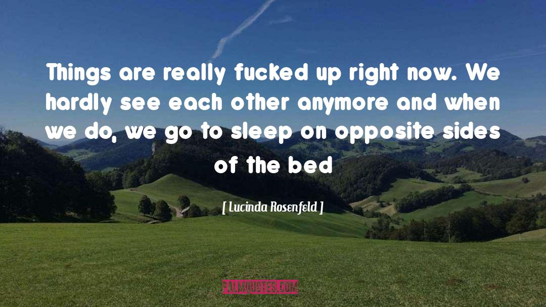 Drifting Apart quotes by Lucinda Rosenfeld