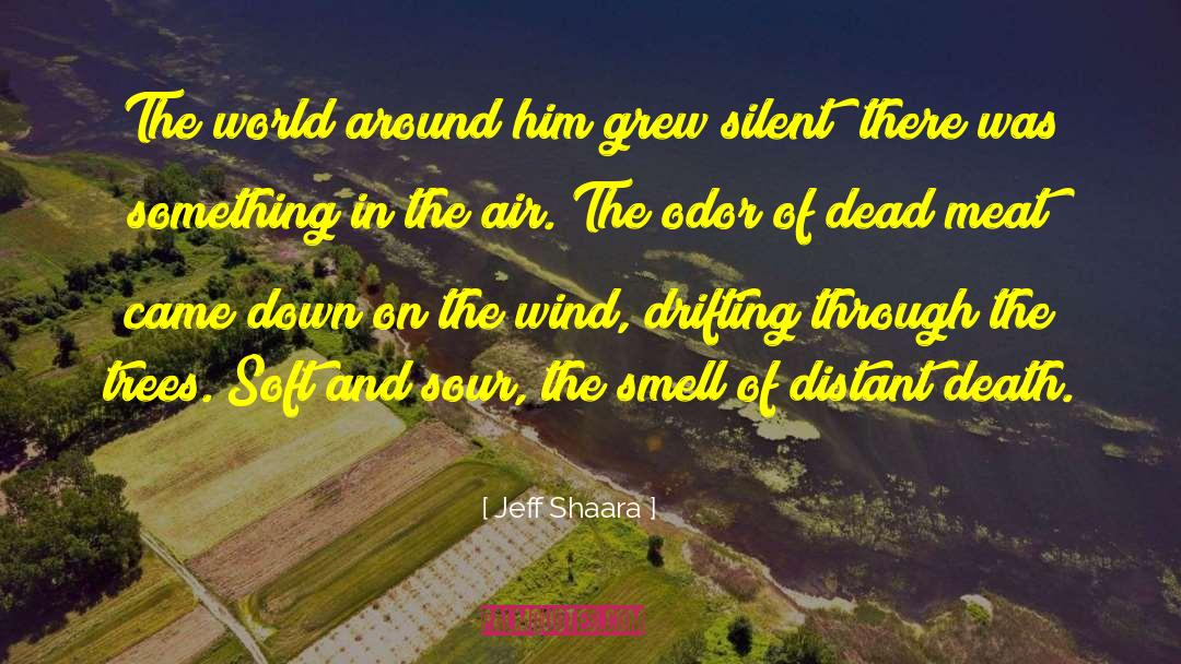 Drifting quotes by Jeff Shaara