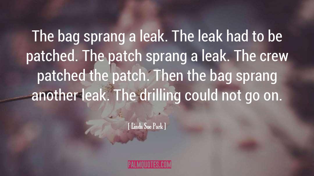 Drilling quotes by Linda Sue Park