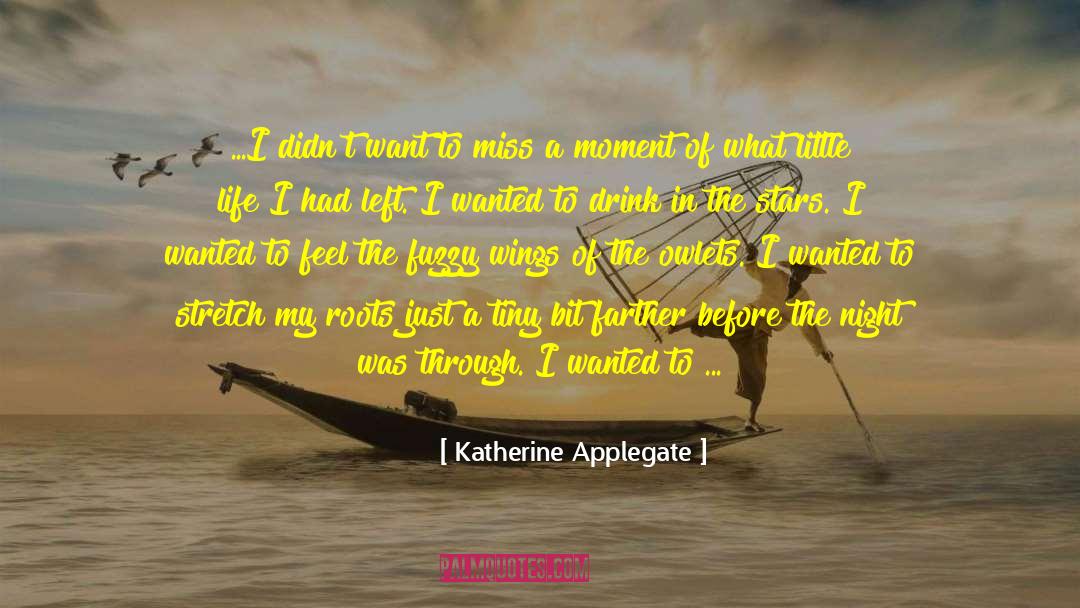 Drink Champagne quotes by Katherine Applegate