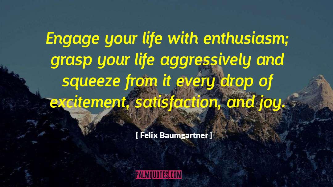 Drink Every Drop Of Life quotes by Felix Baumgartner