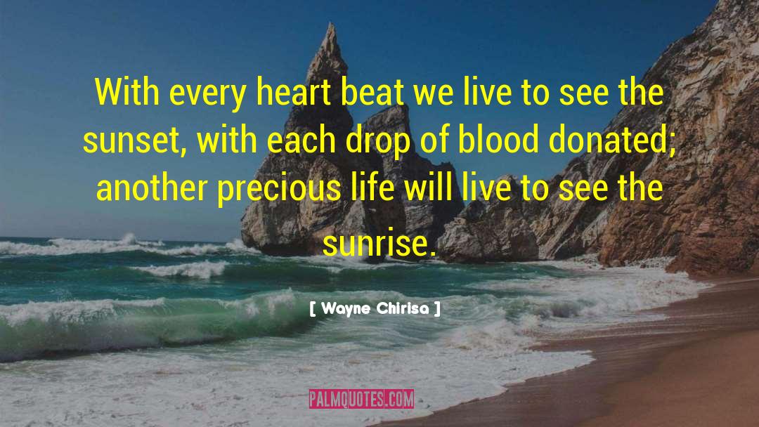 Drink Every Drop Of Life quotes by Wayne Chirisa