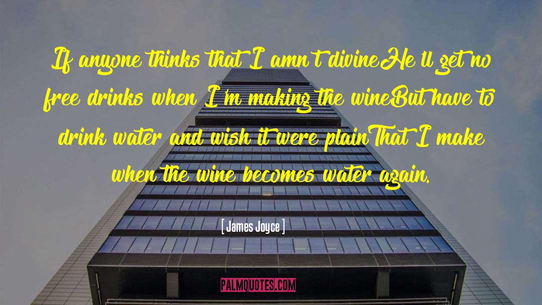 Drink Water quotes by James Joyce