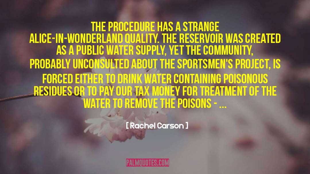 Drink Water quotes by Rachel Carson