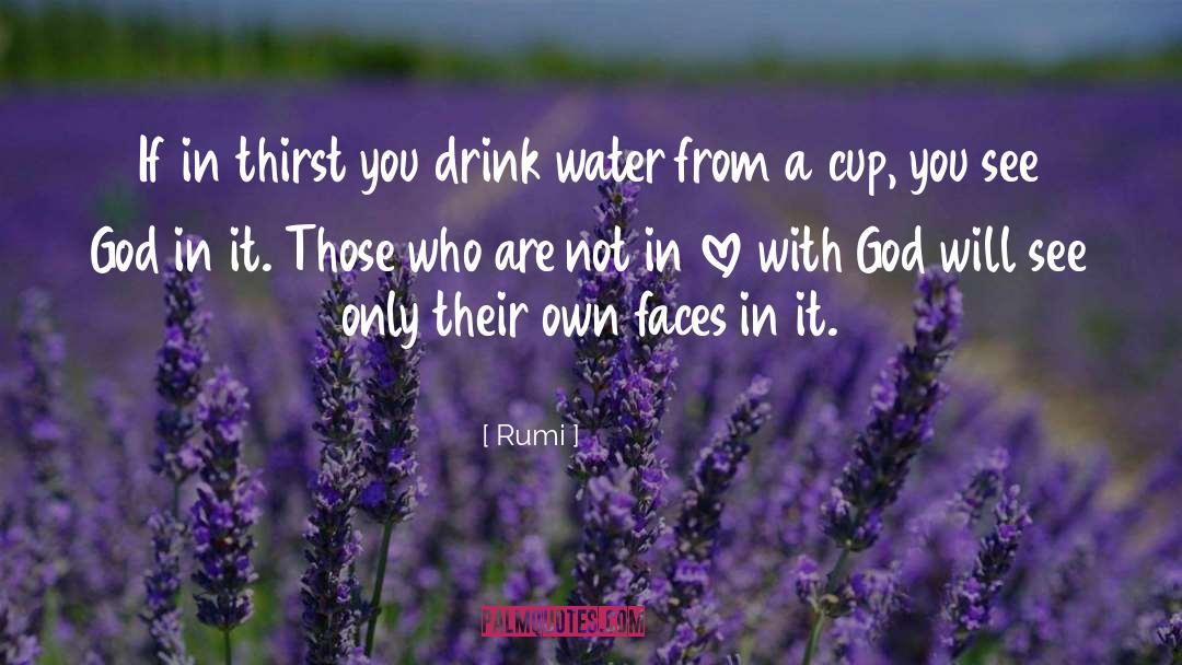 Drink Water quotes by Rumi