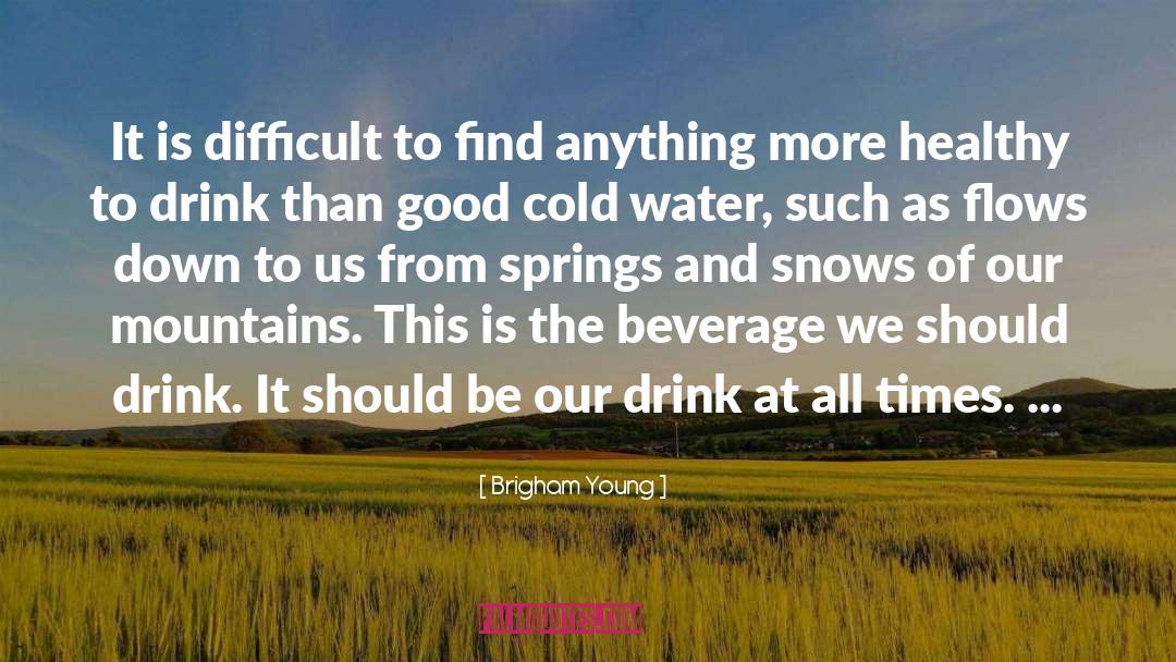 Drink Wisely quotes by Brigham Young