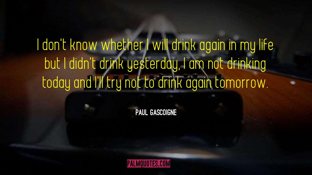 Drink Wisely quotes by Paul Gascoigne