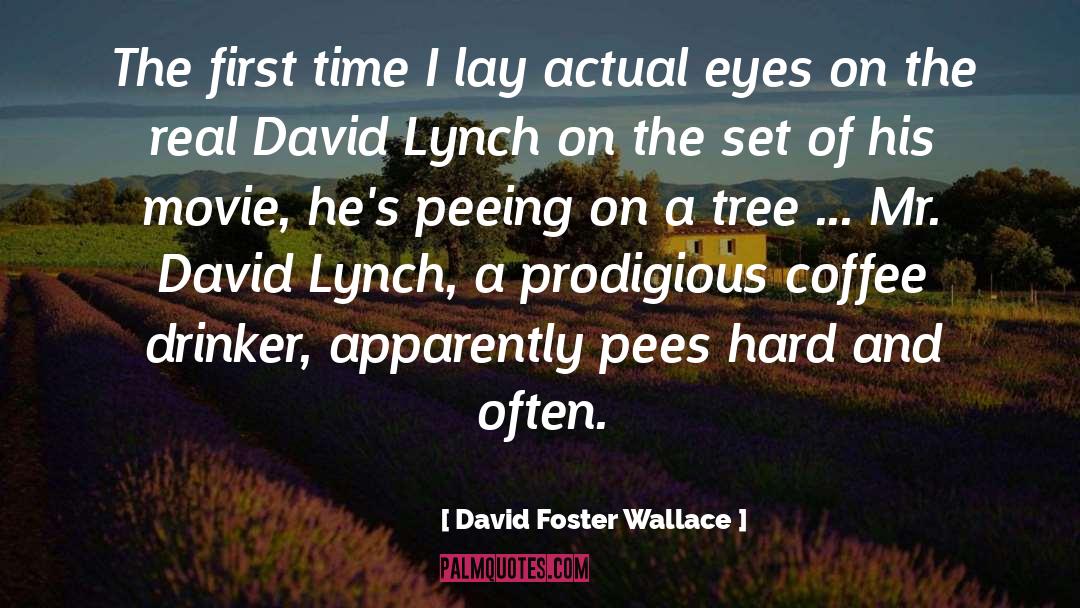 Drinker quotes by David Foster Wallace