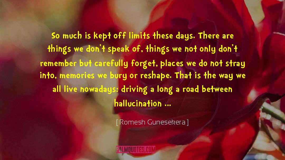 Drinking And Driving quotes by Romesh Gunesekera