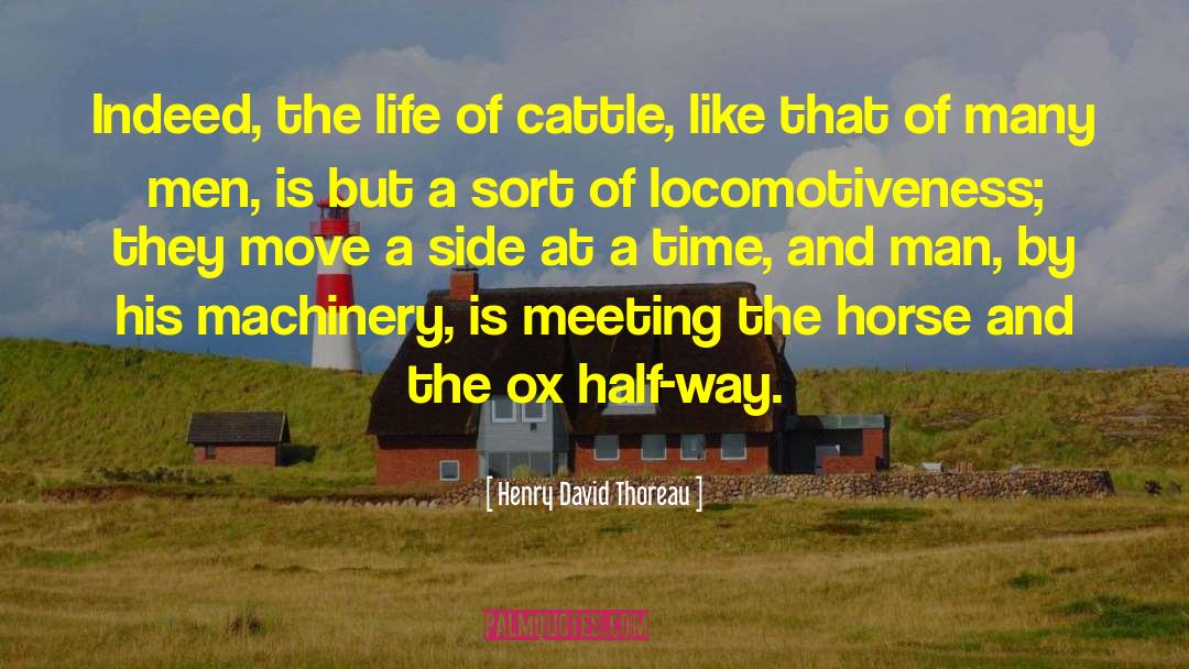 Drinking And Life quotes by Henry David Thoreau